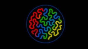 The 4D Nucleome (4DN) Project- llustrazione artistica