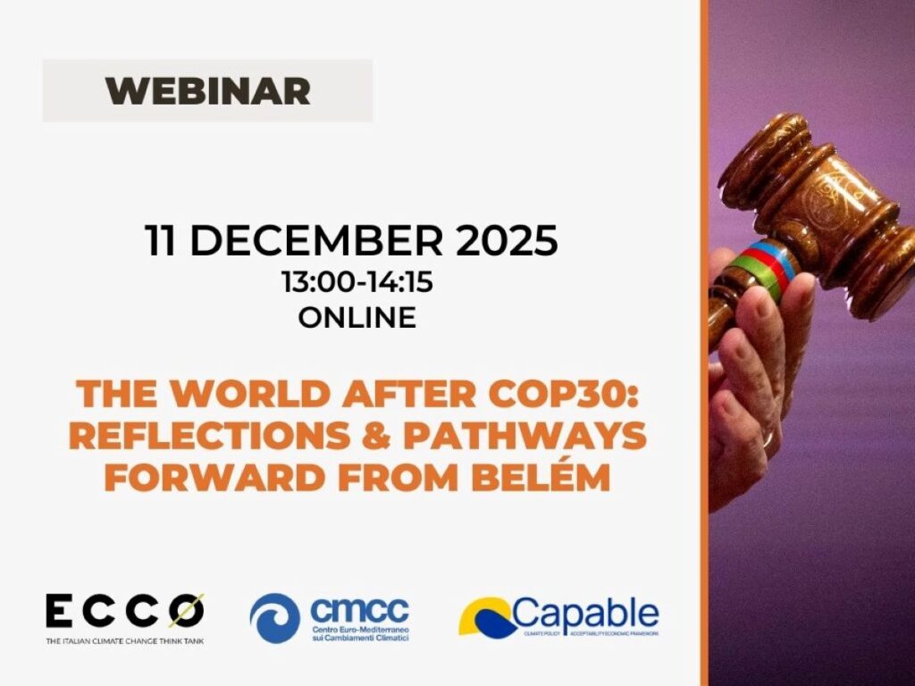 Webinar Cop30