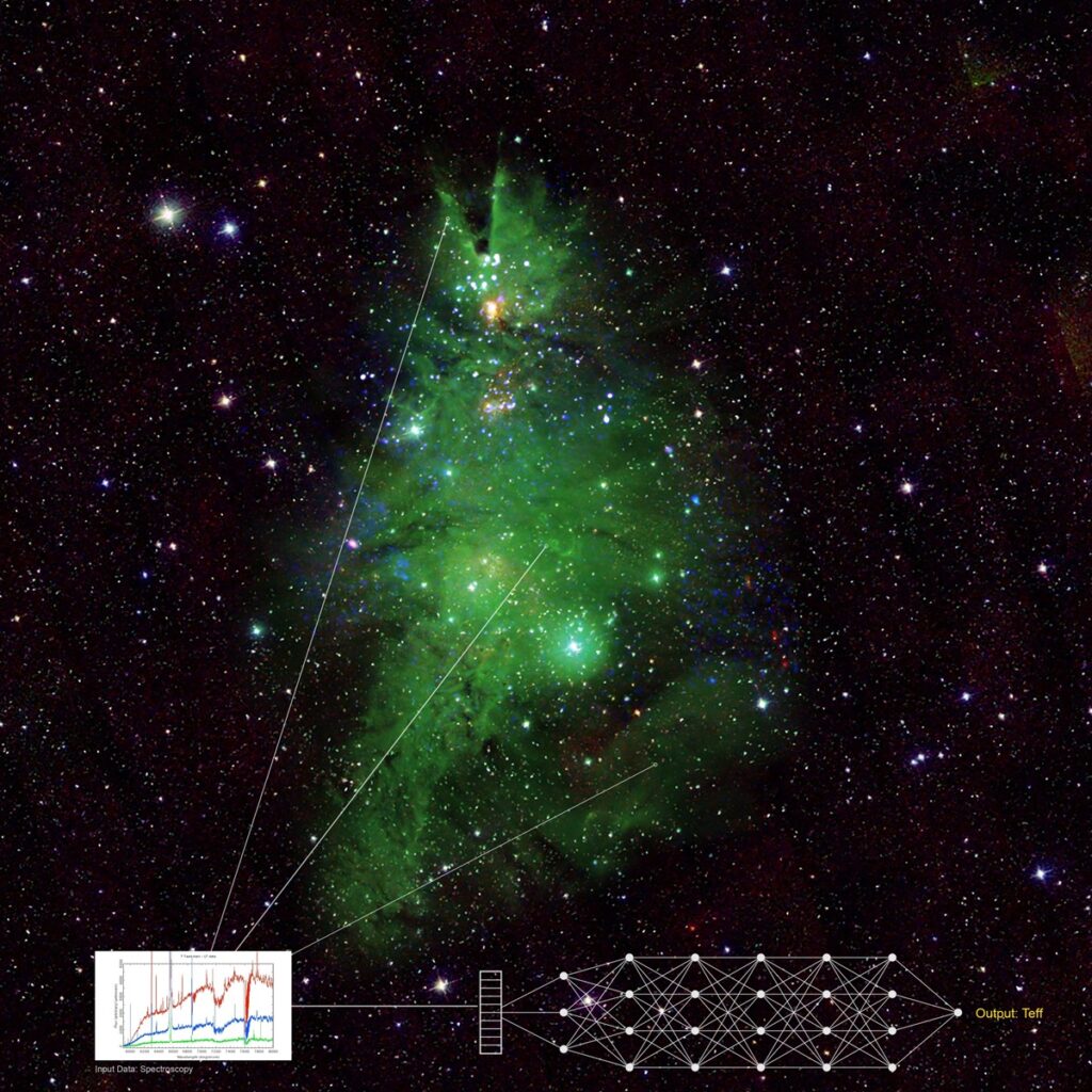 ammasso stellare NGC 2264