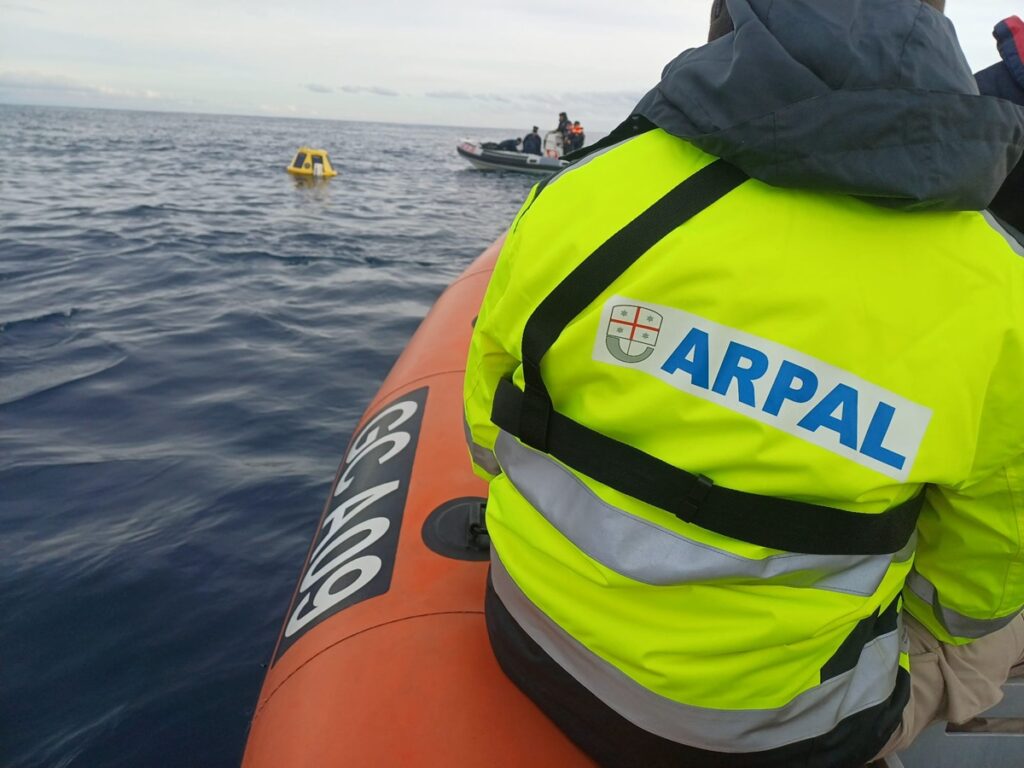 boa capo mele arpal