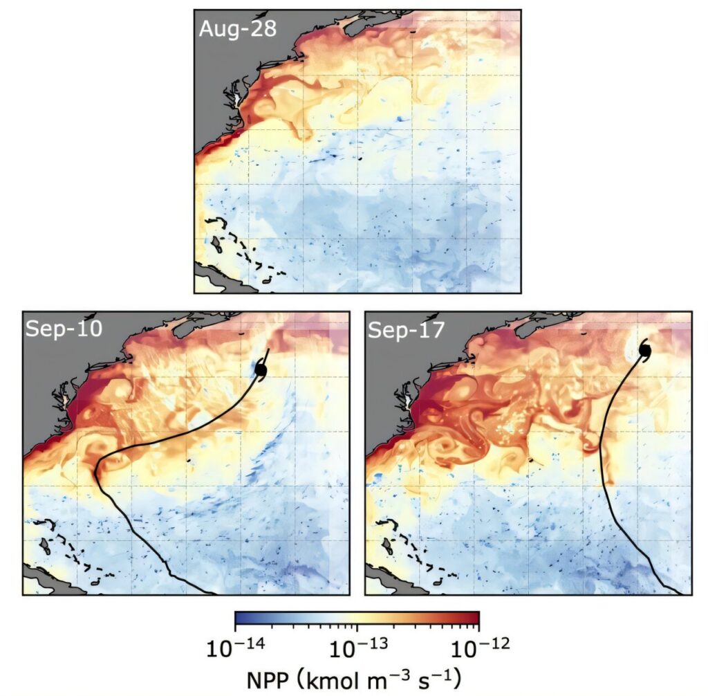 cicloni tropicali ciclo carbonio