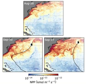 cicloni tropicali ciclo carbonio