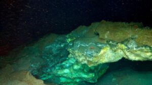 cold seep di idrati di gas groenlandia