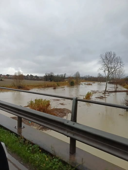 fiume savio maltempo emilia romagna