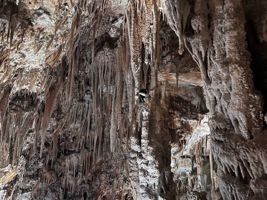 grotta trullo putignano