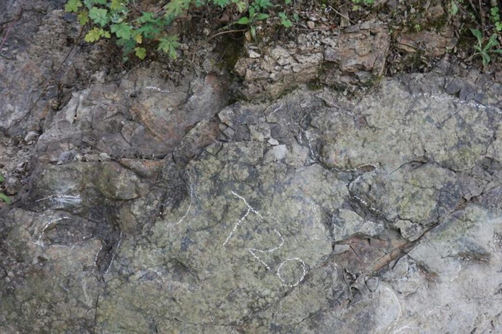 impronte dinosauri cina