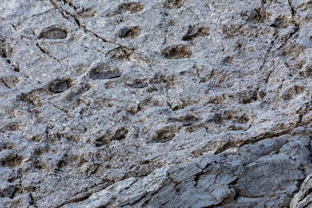 impronte dinosauri lombardia