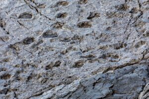 impronte dinosauri lombardia