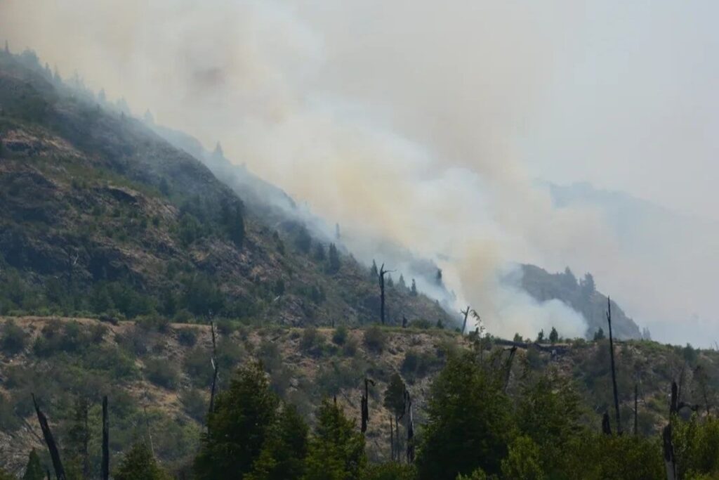 incendio parco Los Alerces argentina