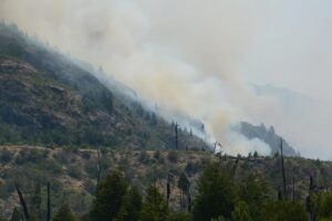 incendio parco Los Alerces argentina