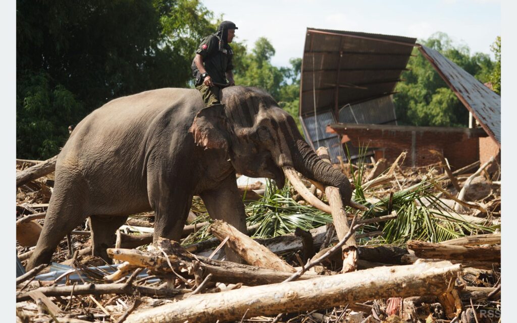 inondazioni indonesia