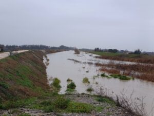 maltempo emilia romagna