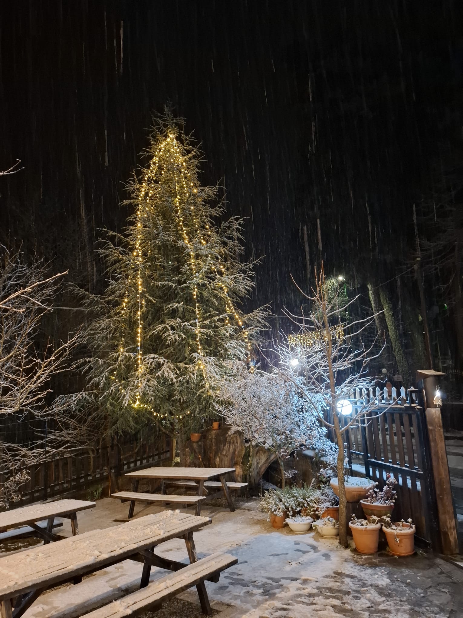 neve gambarie 31 dicembre 2025