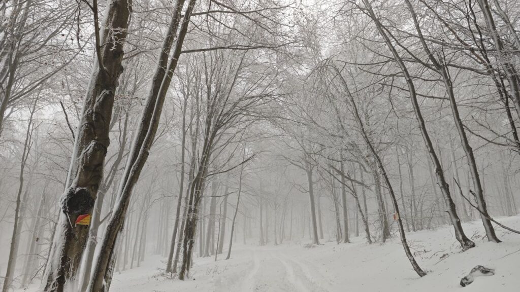 neve liguria