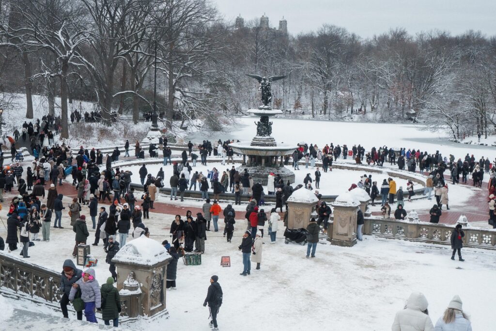 neve new york