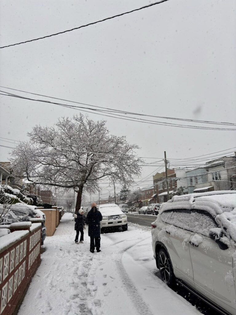 neve new york