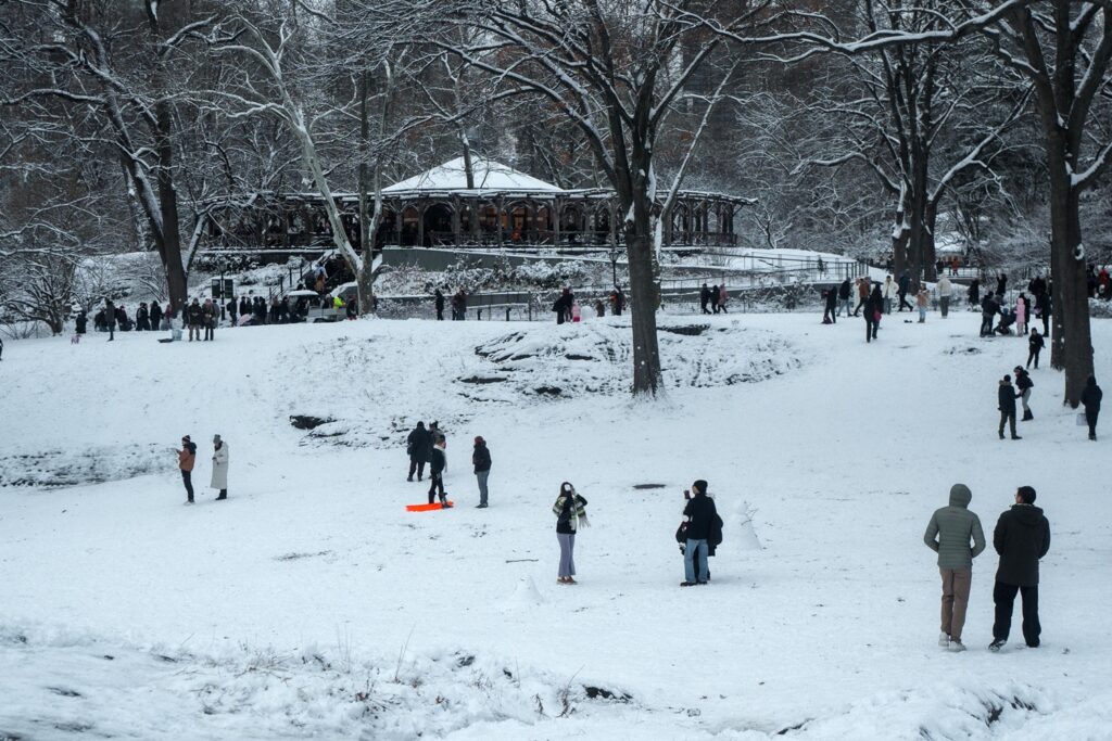 neve new york