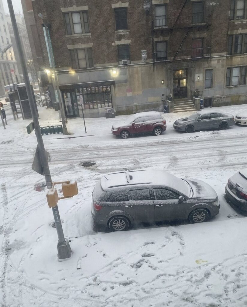 neve new york