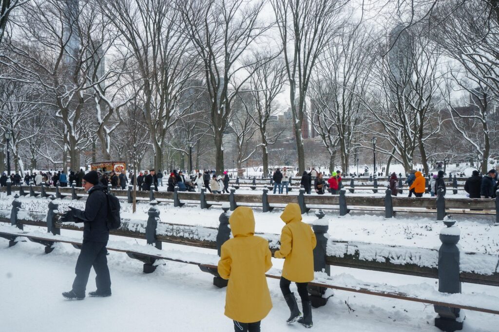 neve new york