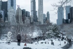 neve new york