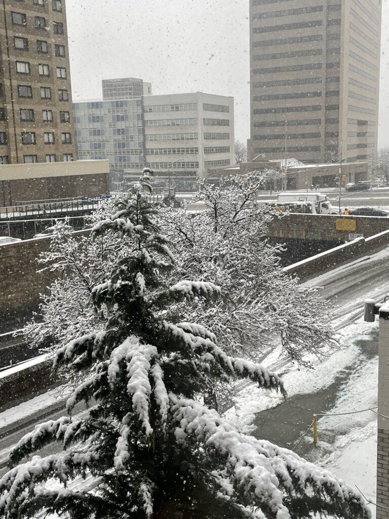 neve new york