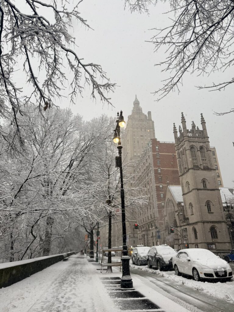 neve new york