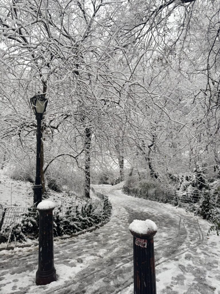 neve new york