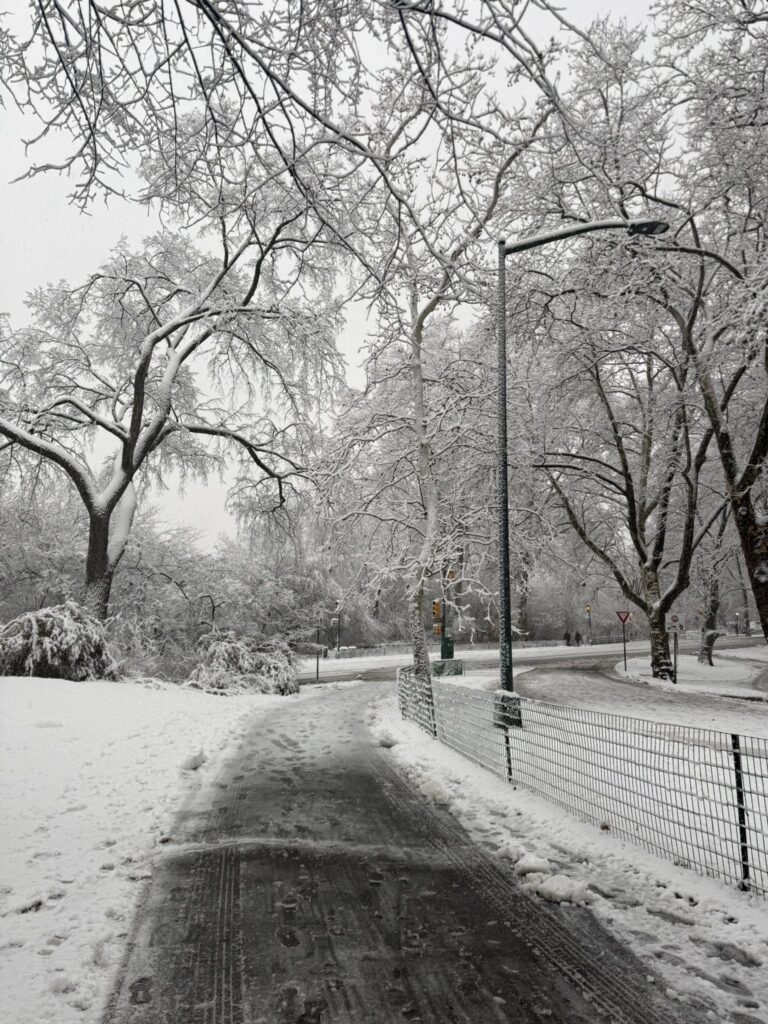 neve new york