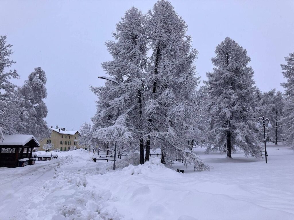 neve pian del frais piemonte