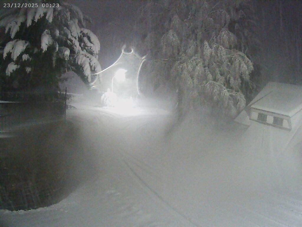 neve piemonte