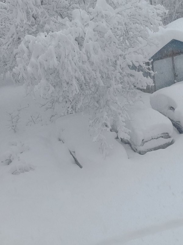 neve russia