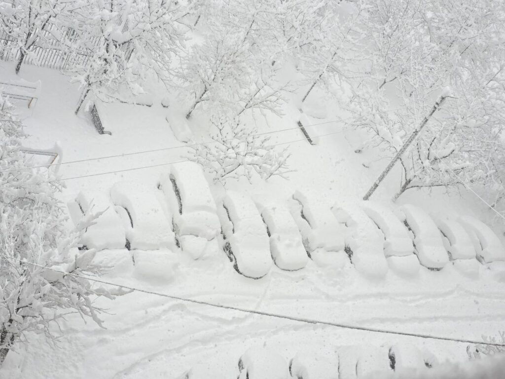 neve russia