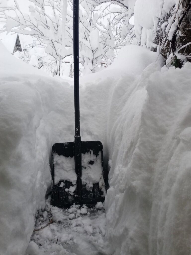 neve russia