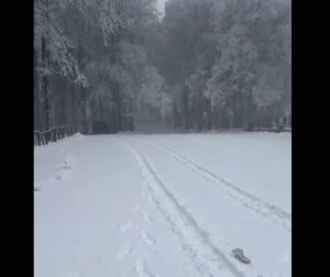 neve toscana