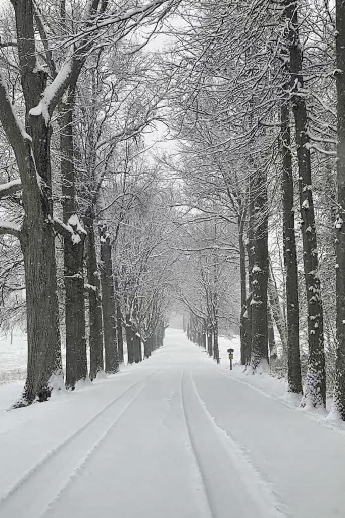 neve usa