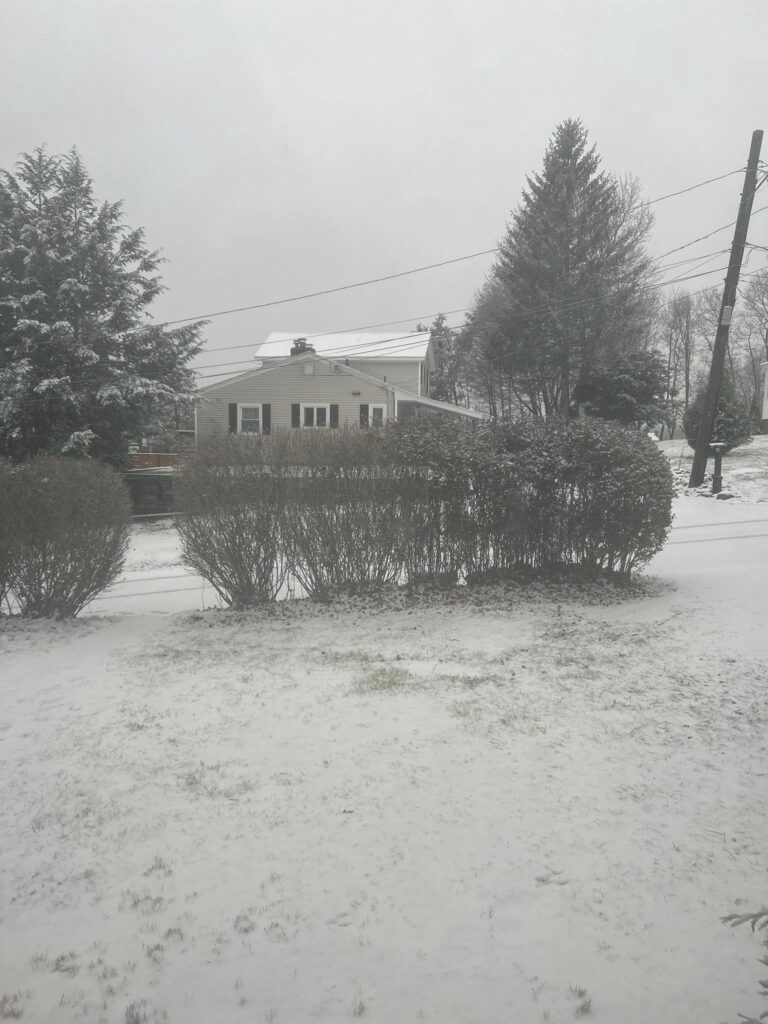 neve usa