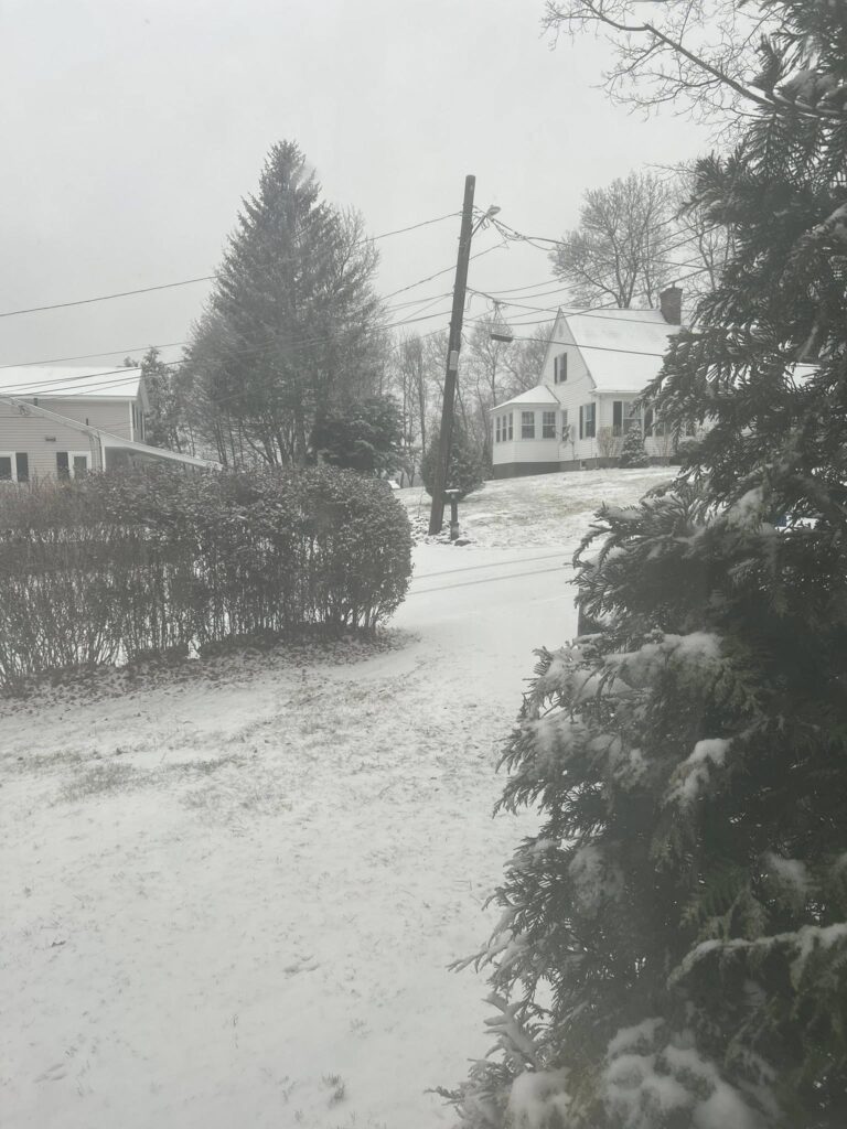 neve usa