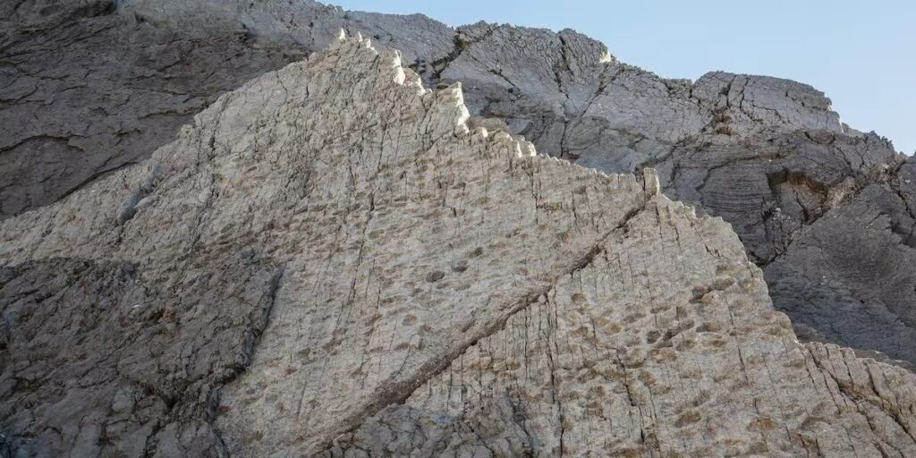stelvio-dinosauri