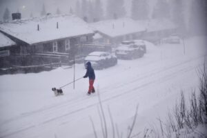 tempesta Johannes svezia
