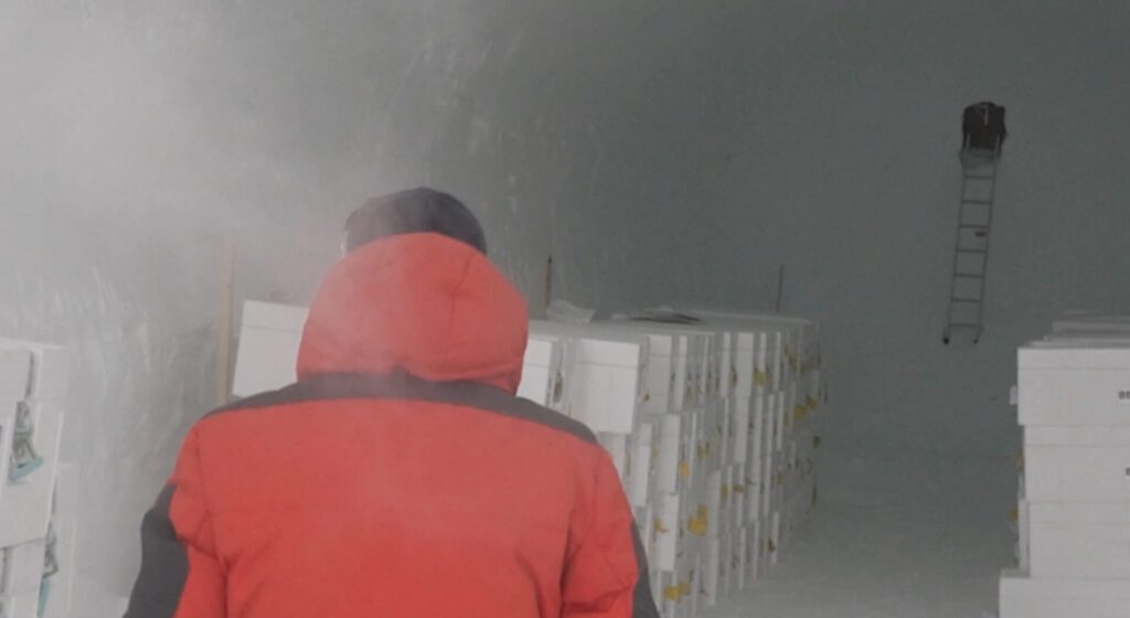 ice memory antartide