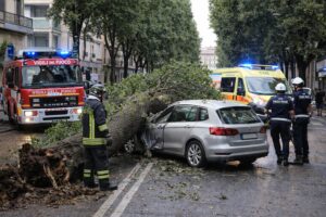 Albero auto Terni