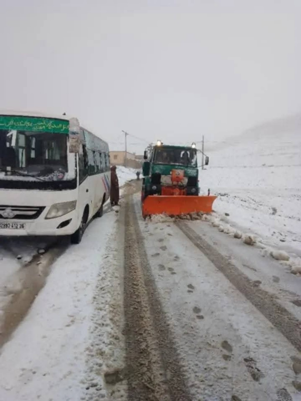 Algeria neve
