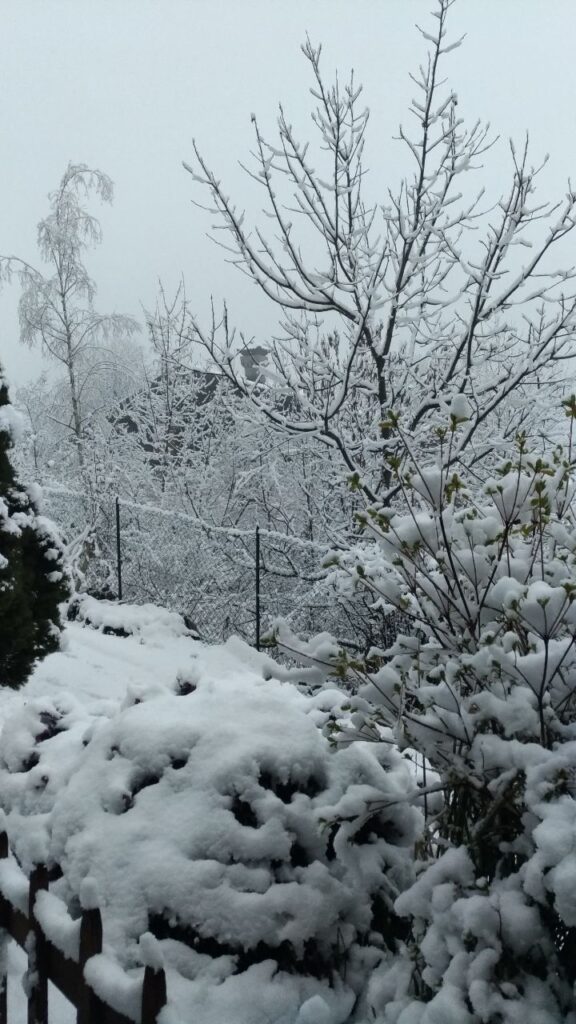 neve piemonte
