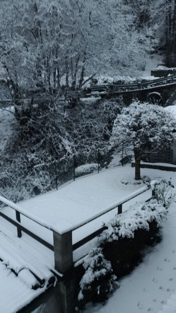 neve piemonte