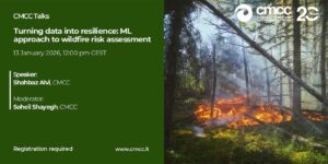 Evento CMCC incendi boschivi