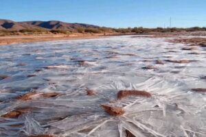 Gelo Algeria 9 gennaio