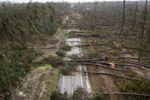 Kristin Portogallo alberi sradicati