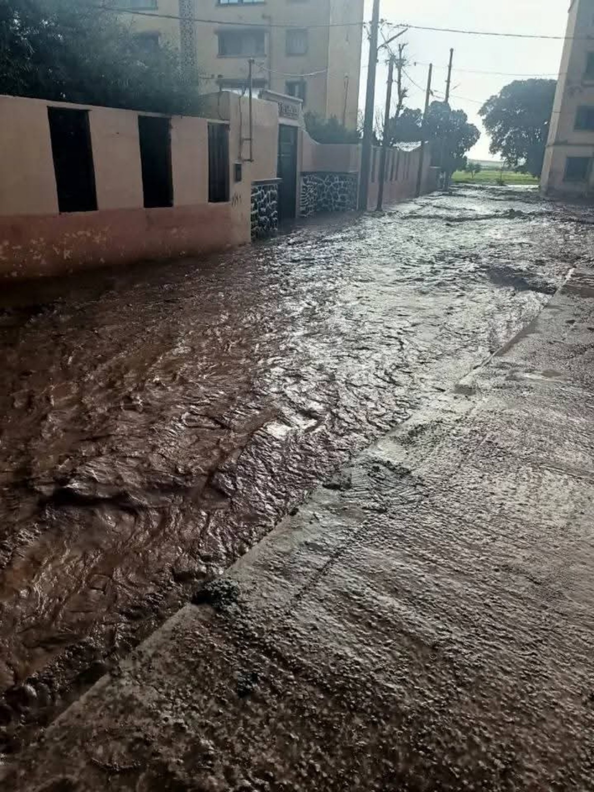 Maltempo Algeria allagamenti