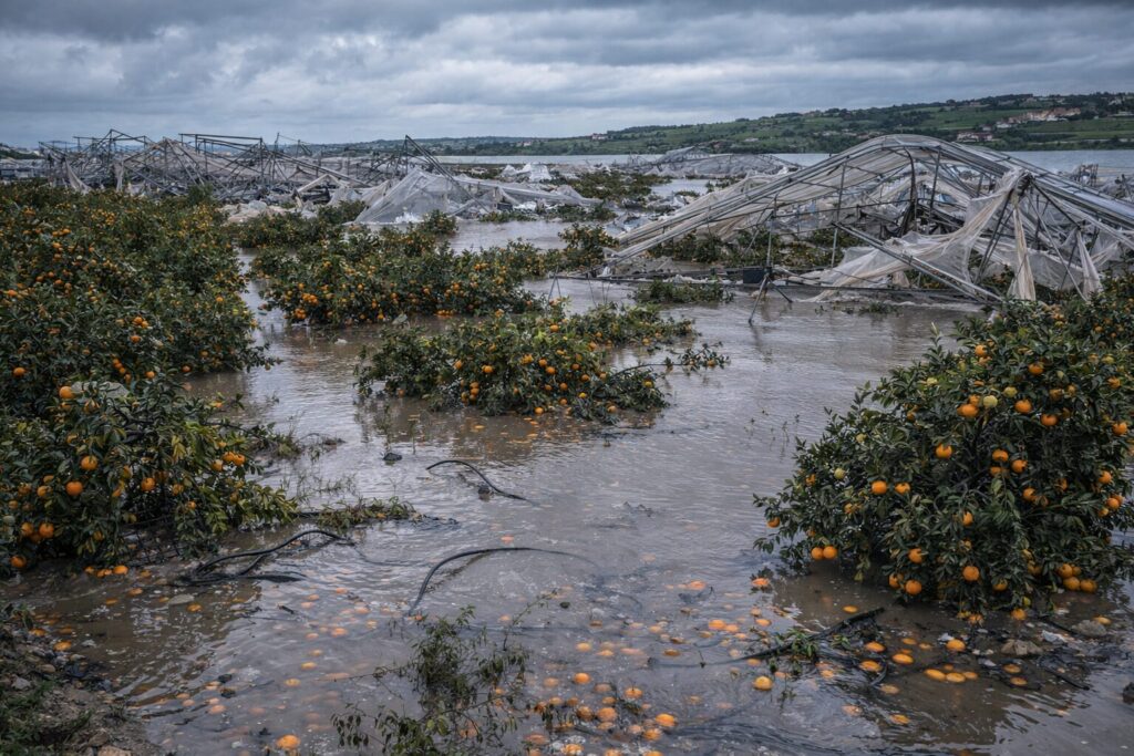 Maltempo Sicilia agricoltura