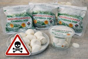 Mozzarella bufala